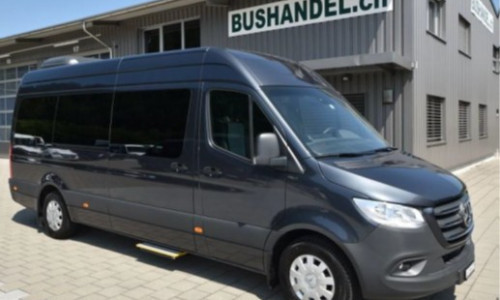 Mercedes 317 VIP lang mit 11 SitzplÃ¤tzen tenoritgrau metallic