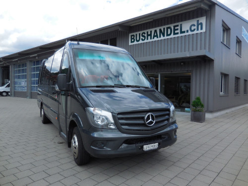Mercedes-Benz Sprinter 519, Panoramique Bus