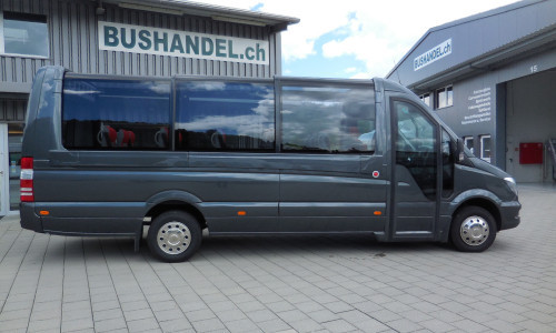 Mercedes-Benz Sprinter 519, Panoramique Bus