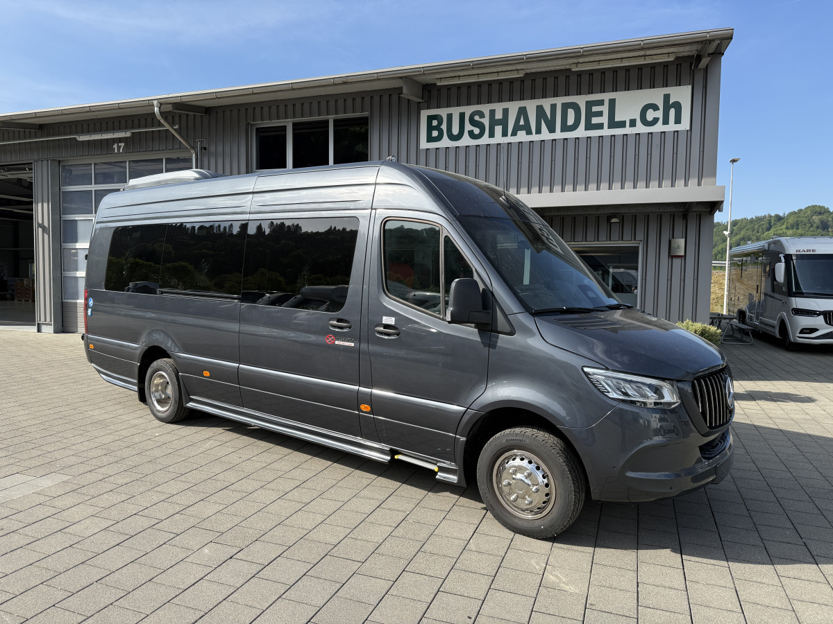 Mercedes 519 Rollstuhlbus mit bis zu 4 RollstÃ¼hle oder 21 PlÃ¤tze - Bild 1