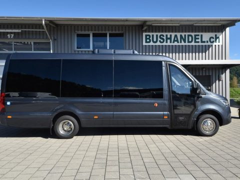 Mercedes 519 VIP Midibus mit 17 PlÃ¤tze oder wahlweise bis 6 RollstÃ¼hle