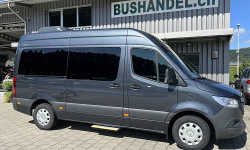 Mercedes 317 VIP 13 SitzplÃ¤tze