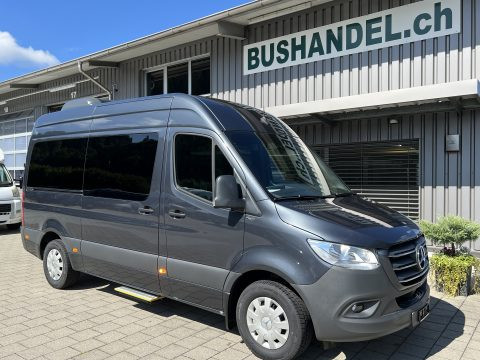 Mercedes 317 VIP Kleinbus mit total 13 SitzplÃ¤tze