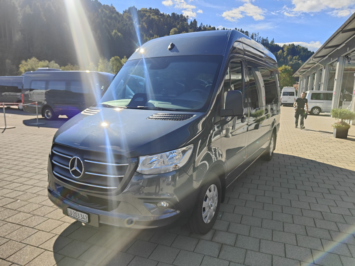 Mercedes 317 VIP Kleinbus - Bild 3